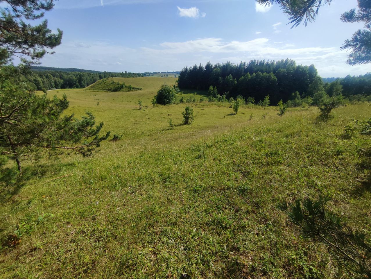 Działka siedliskowa Osinki. Zdjęcie 13