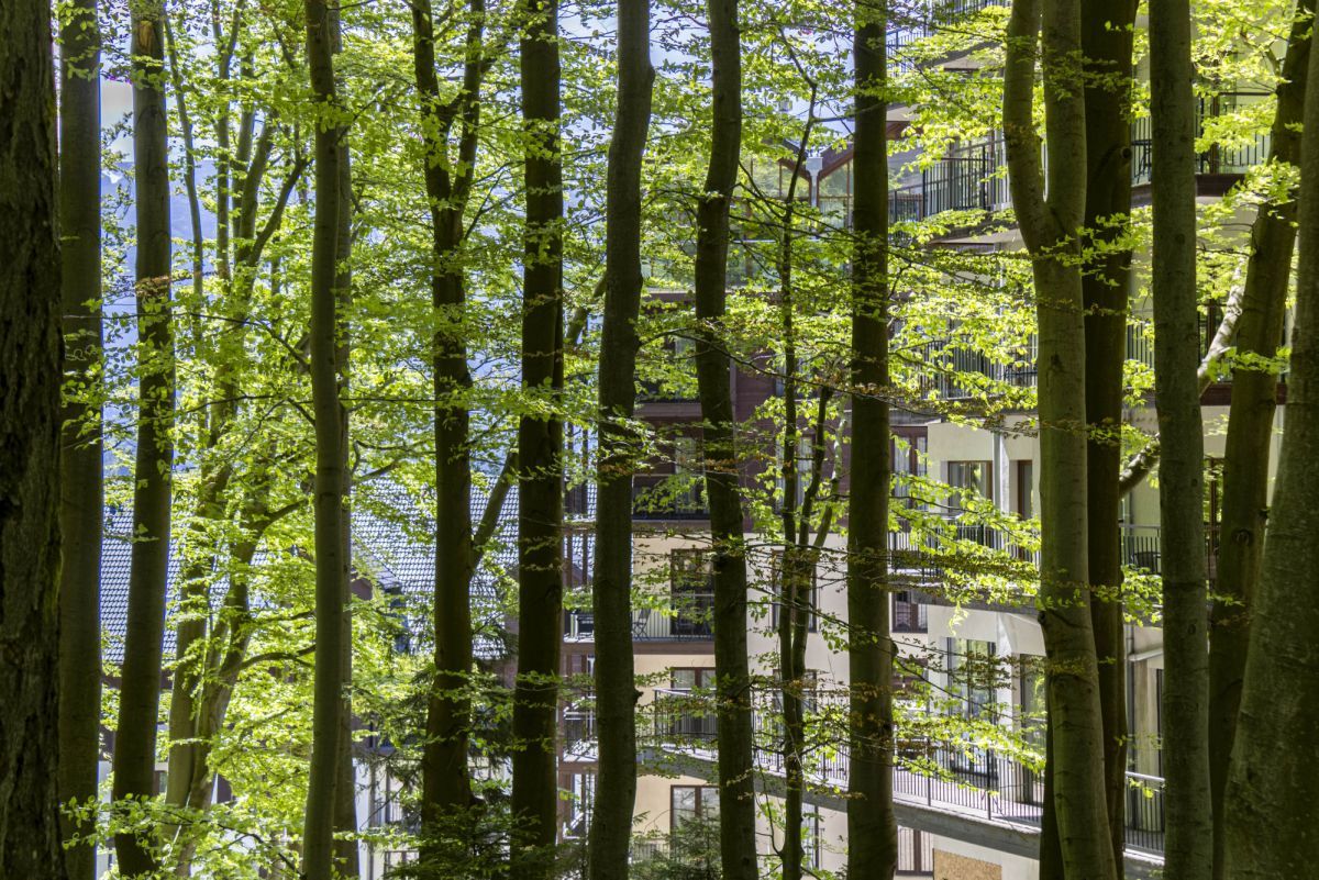 Mieszkanie 2-pokojowe Szklarska Poręba Szklarska Poręba Górna, ul. Górna. Zdjęcie 26