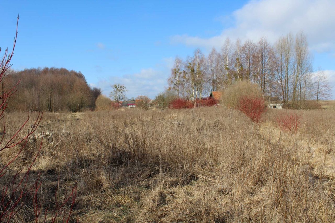 Działka rolna Kwik. Zdjęcie 6