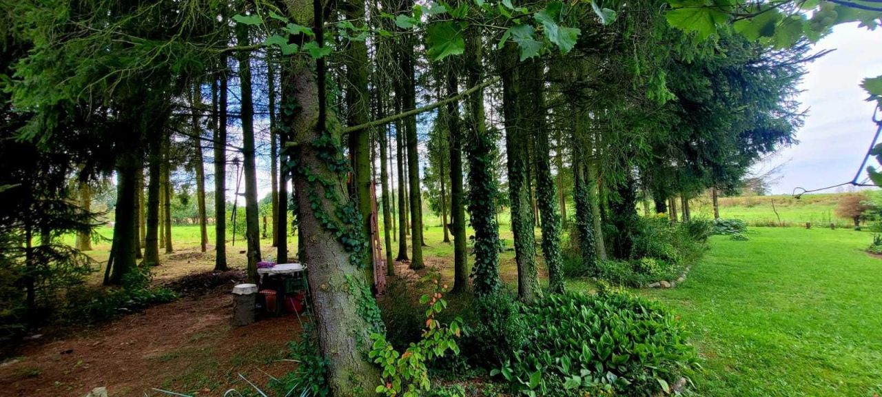 Działka rolna Bobrowice. Zdjęcie 3