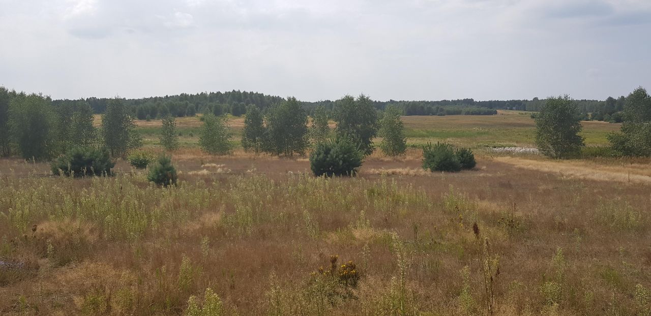 Działka rolno-budowlana Gąsawy Plebańskie. Zdjęcie 4