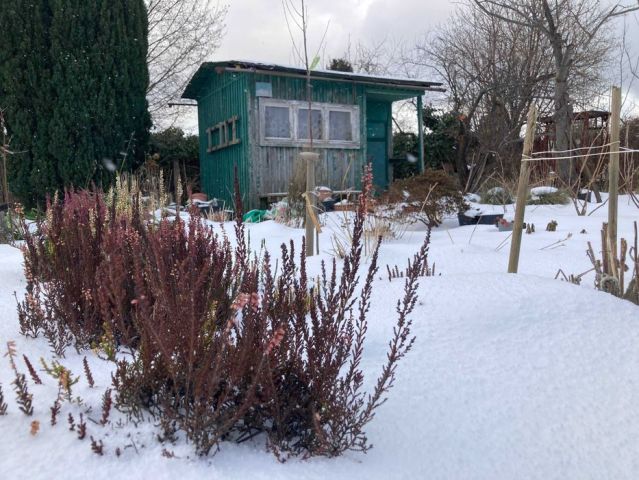 Działka rod Gdynia Mały Kack, ul. Spokojna. Zdjęcie 1