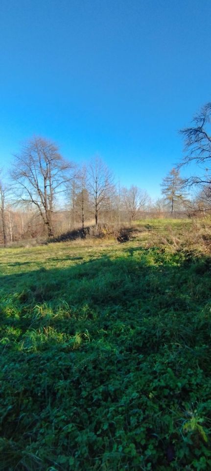 Działka budowlana Sielnica. Zdjęcie 4