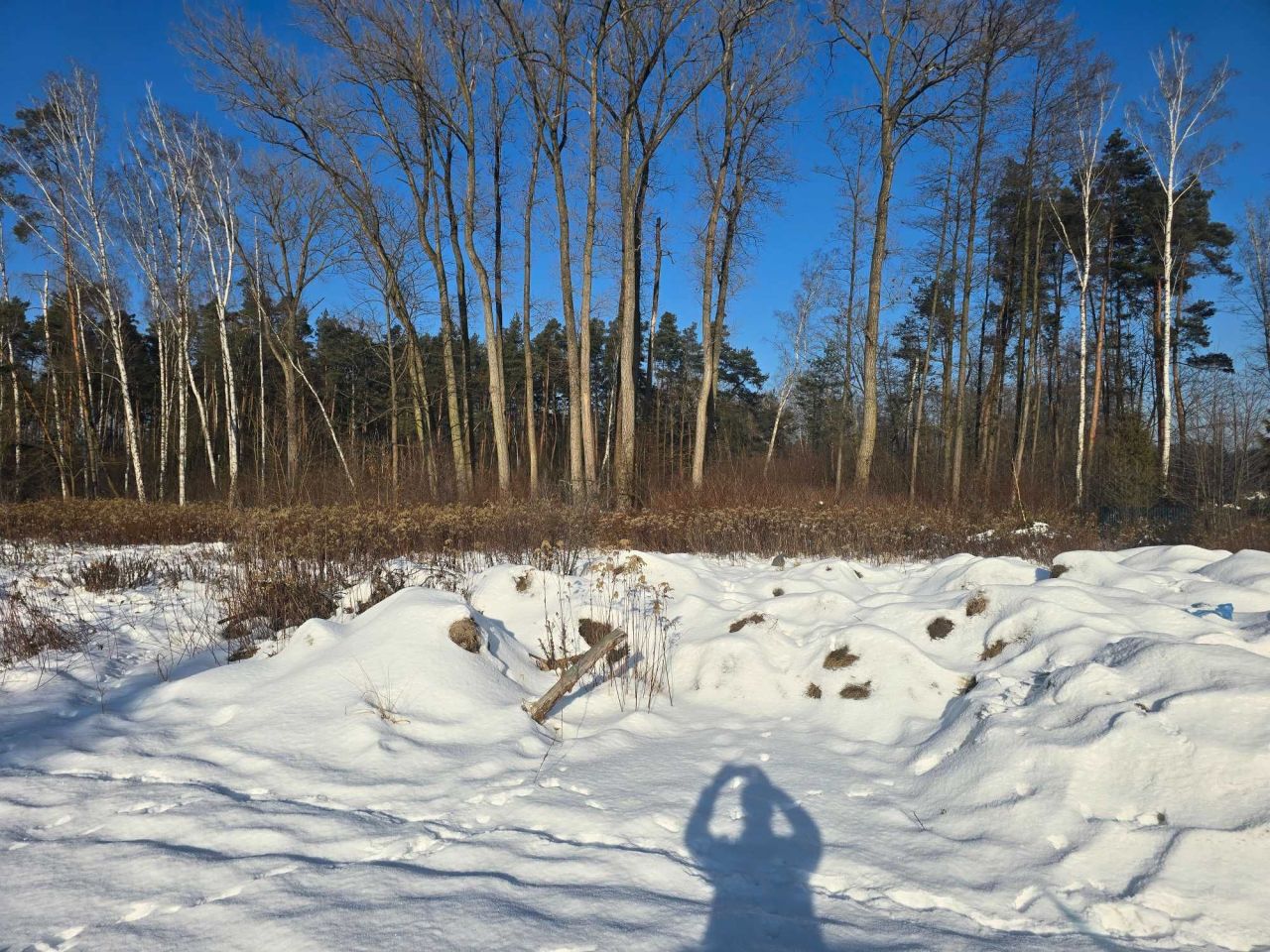 Działka budowlana Kobyłka, ul. Nadmeńska. Zdjęcie 4