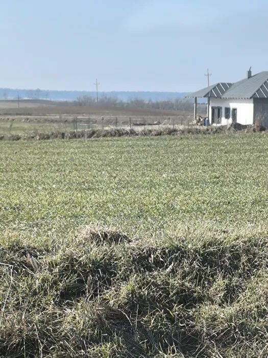 Działka rekreacyjna Powidz. Zdjęcie 2