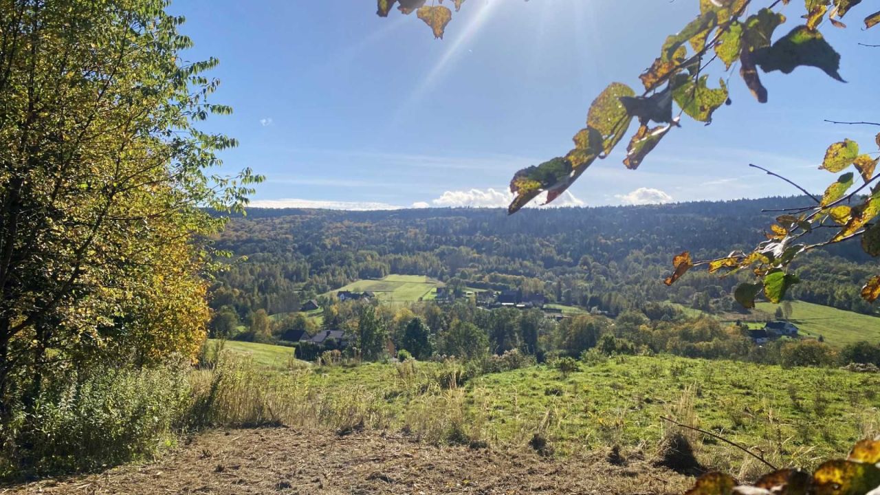 Działka budowlana Zakrzów. Zdjęcie 6