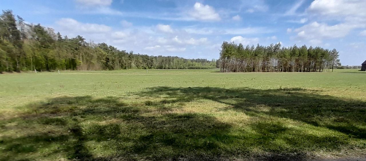 Działka rolno-budowlana Biała. Zdjęcie 1