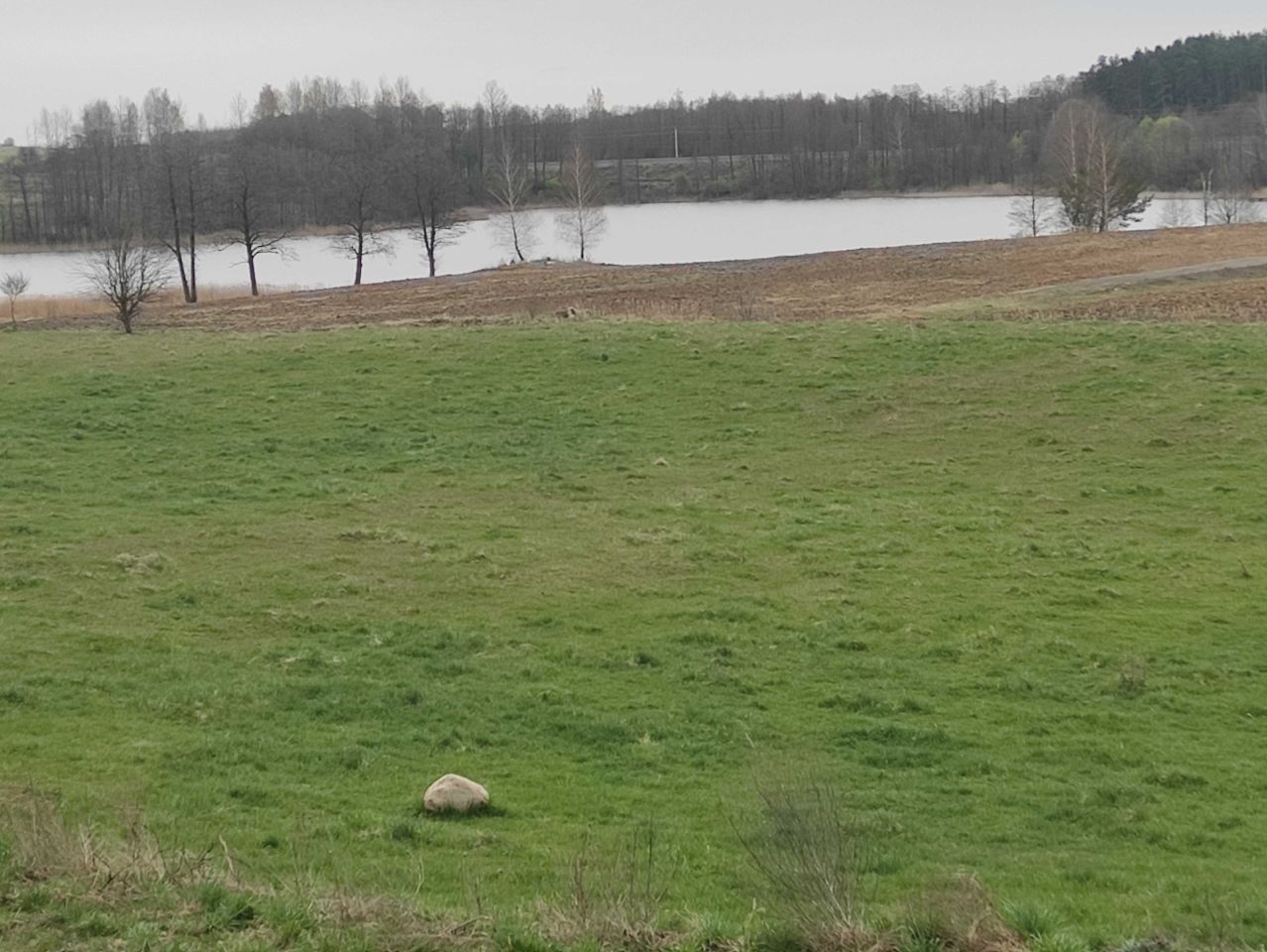 Działka budowlana Pożarki. Zdjęcie 6