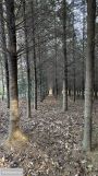 Działka budowlana Błażowa. Zdjęcie 1