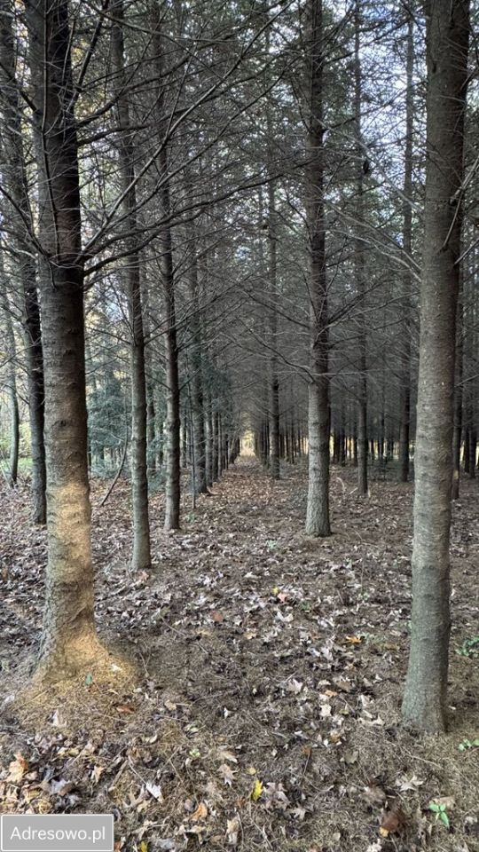Działka budowlana Błażowa. Zdjęcie 2