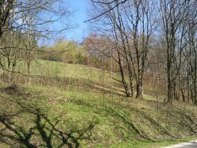 Działka budowlana Pieszyce Potoczek, Potoczek