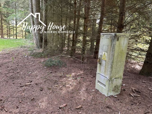 siedlisko, 6 pokoi Płocicz. Zdjęcie 33