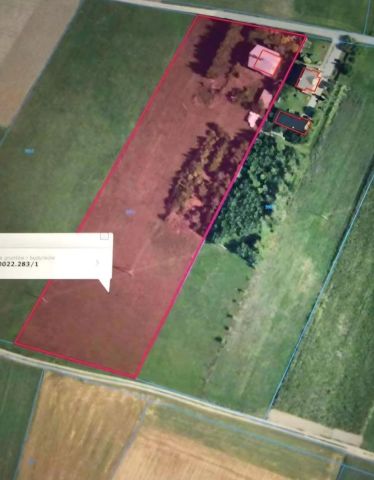 Działka budowlana Łopuszno, ul. Górny Bór. Zdjęcie 1