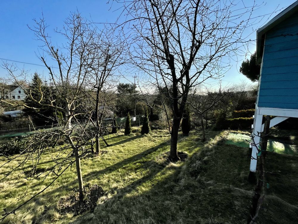 Działka rod Szczecin Golęcino, ul. Pokoju. Zdjęcie 7