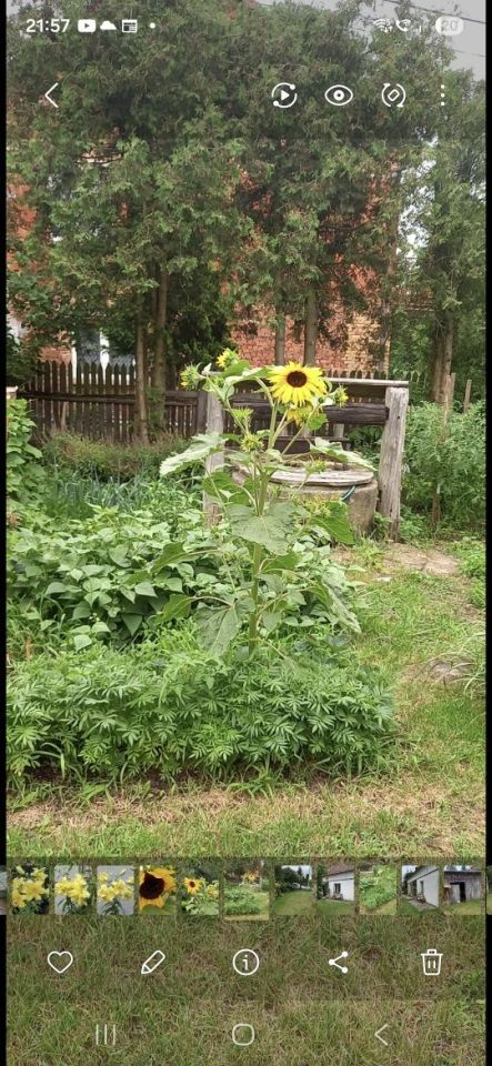 dom wolnostojący Rudno. Zdjęcie 3