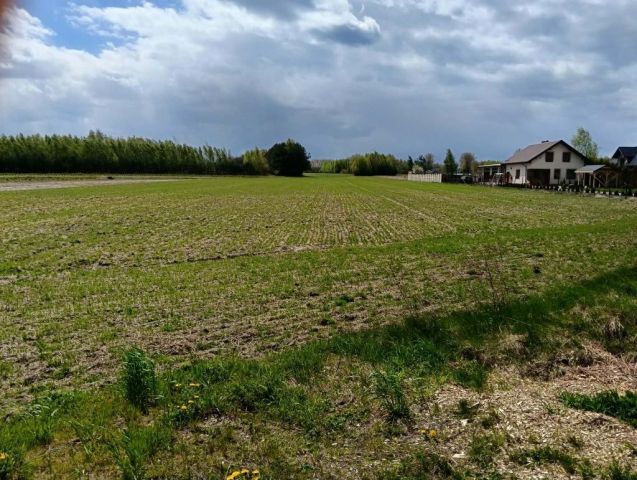 Działka inwestycyjna Wygnanów. Zdjęcie 1