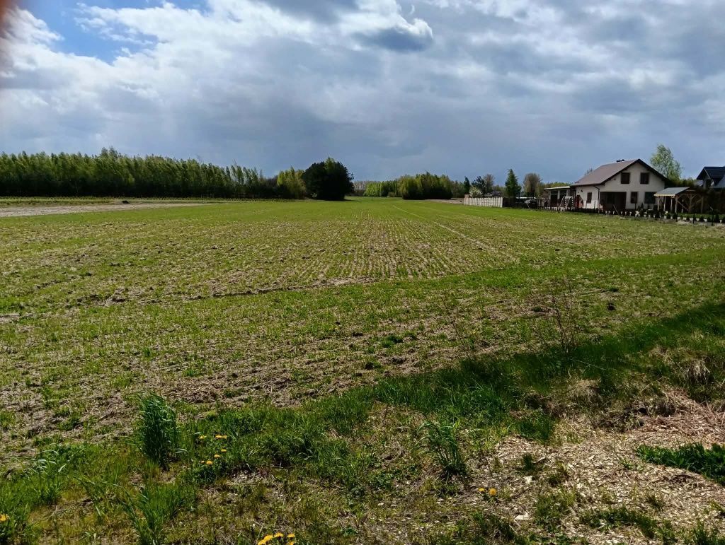 Działka inwestycyjna Wygnanów. Zdjęcie 1