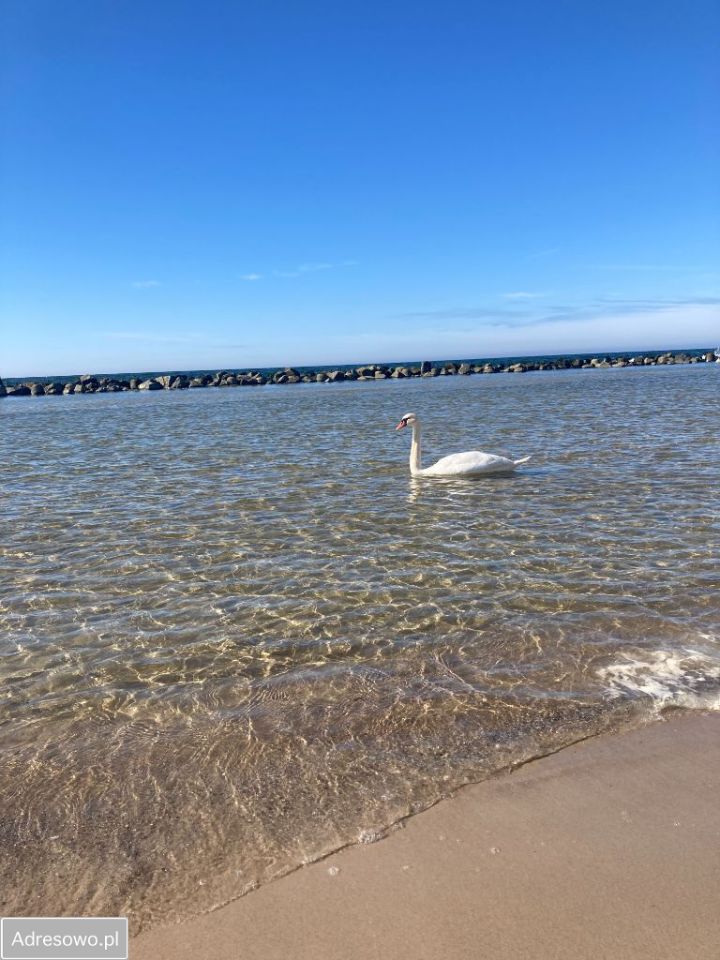 Hotel/pensjonat Darłowo, ul. Letnia. Zdjęcie 2