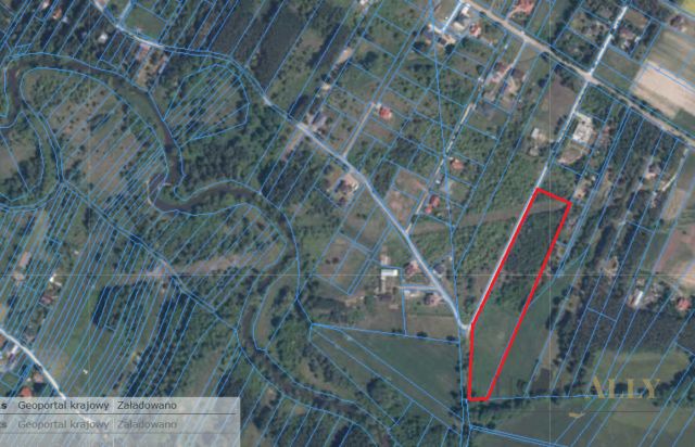 Działka budowlana Bolesławów, ul. Młynarska. Zdjęcie 11