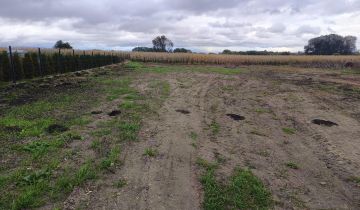 Działka rolno-budowlana Chełm Żółtańce