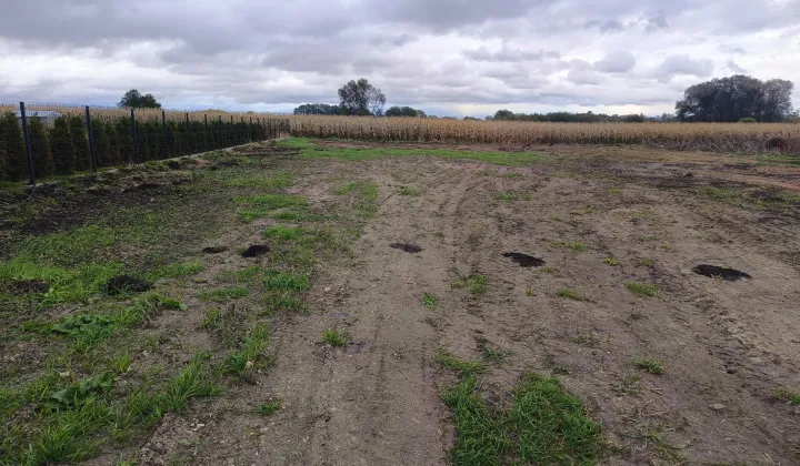 Działka rolno-budowlana Chełm Żółtańce