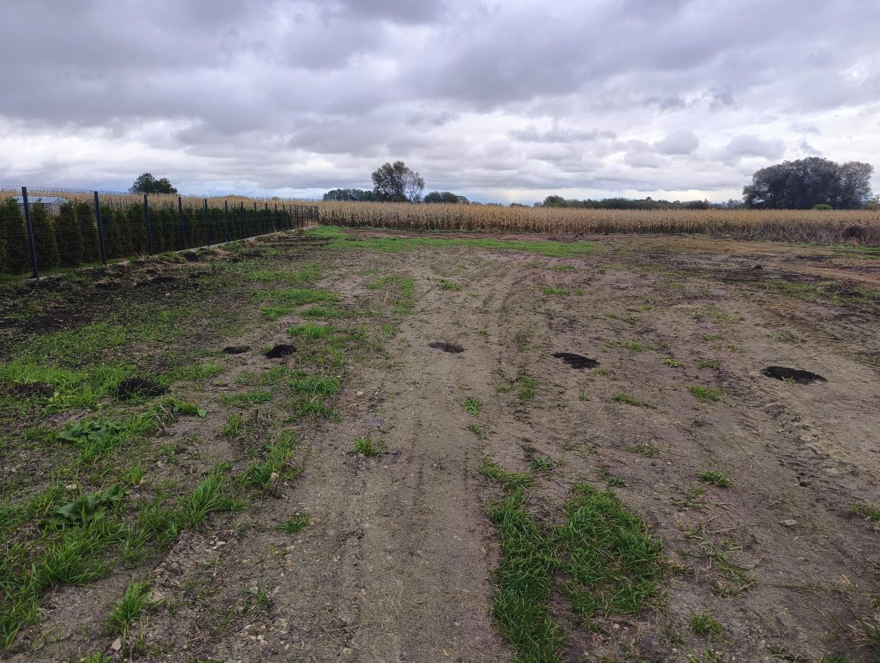 Działka rolno-budowlana Chełm Żółtańce