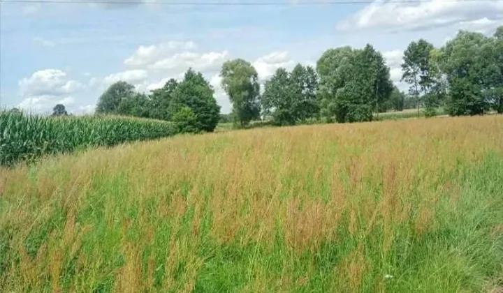 Działka budowlana Lipka