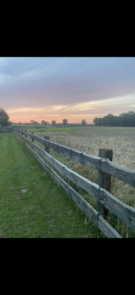 Działka budowlana Tarchalin, Wewnętrzna. Zdjęcie 3