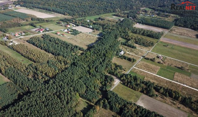 Działka rolno-budowlana Las Winiarski. Zdjęcie 12
