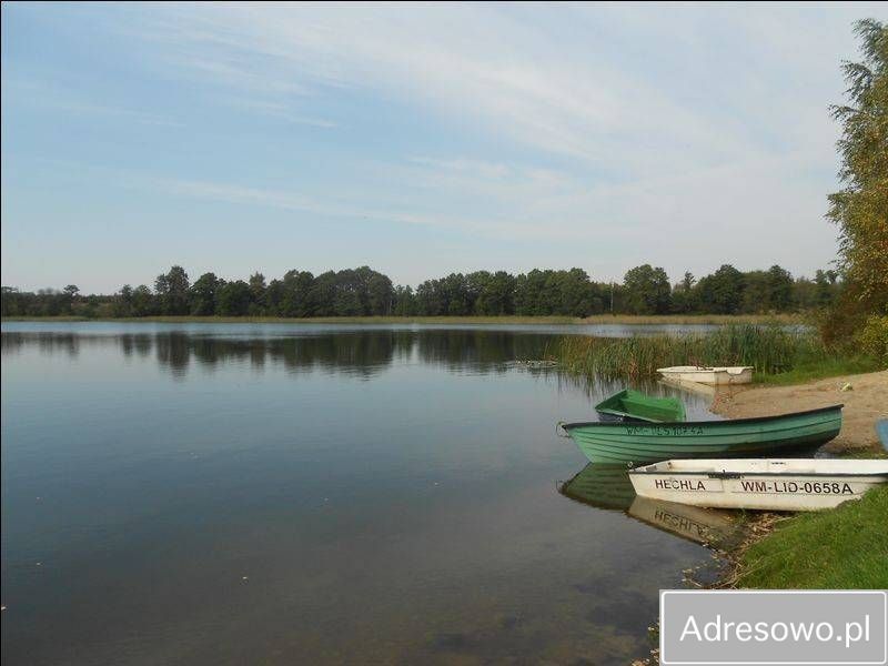 Działka siedliskowa Skolity. Zdjęcie 5