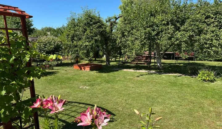 Działka rod Grzybiany