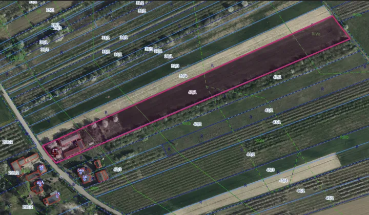 Działka siedliskowa Podłęcze