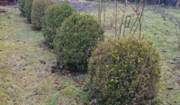 dom wolnostojący, 5 pokoi Olsztyn Jaroty