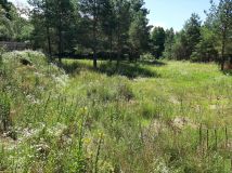 Działka rolno-budowlana Ełk Szyba, ul. Baranki. Zdjęcie 4