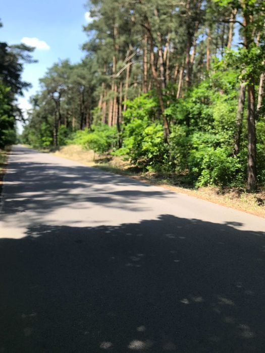 Działka budowlana Wilcze Tułowskie. Zdjęcie 6