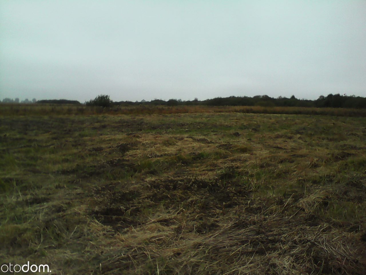 Działka rolna Jurów. Zdjęcie 2