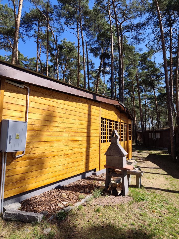 dom letniskowy, 3 pokoje Sielpia Mała, Dorzeczna. Zdjęcie 3