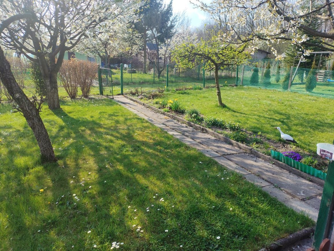 Działka rod Gliwice Szobiszowice. Zdjęcie 2