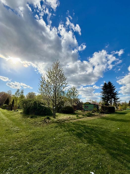 Działka rod Tarnów. Zdjęcie 2