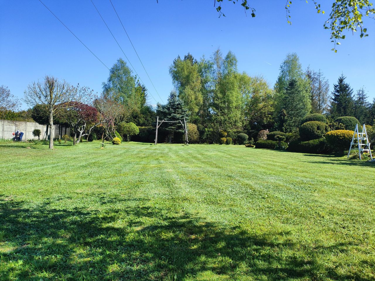 Działka rolna Wiechowo. Zdjęcie 3