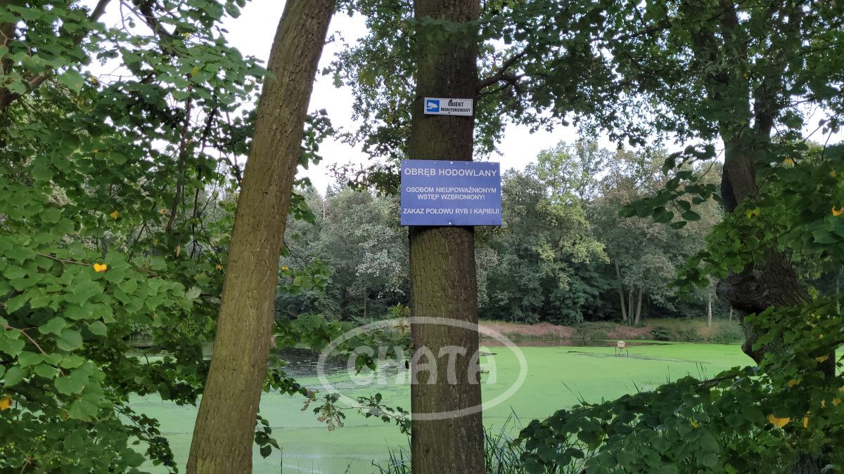 Działka budowlana Jastrzębce. Zdjęcie 20