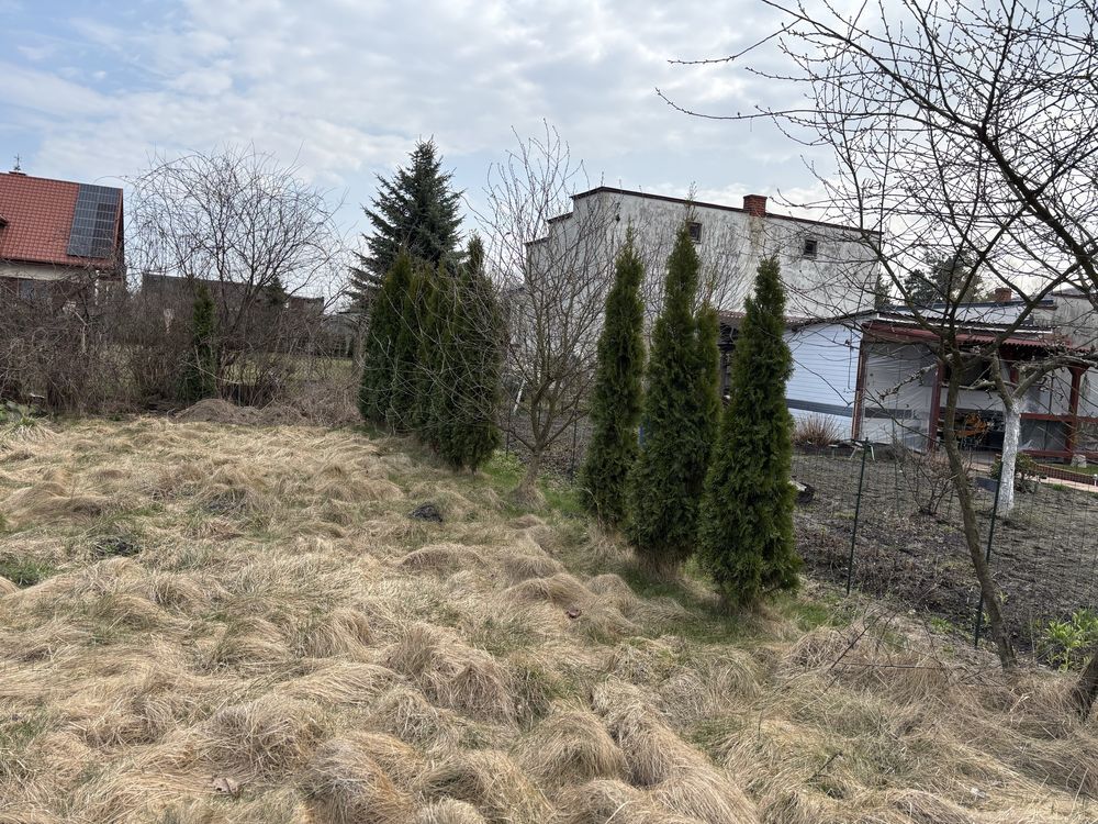 Działka rod Młodzianów. Zdjęcie 3