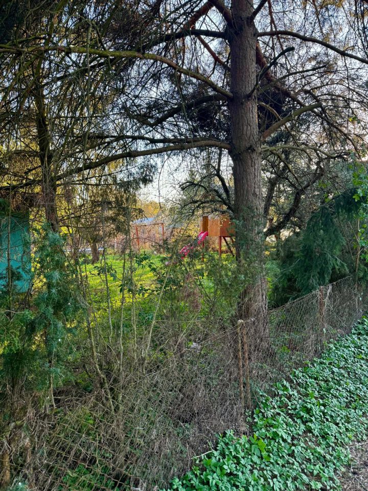 Działka rod Toruń, ul. Stanisława Przybyszewskiego. Zdjęcie 6