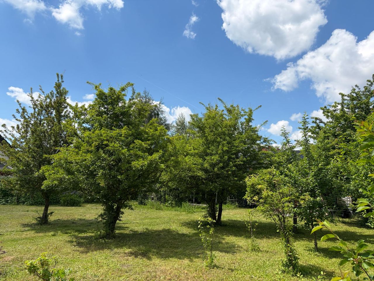 Działka budowlana Mędłów, ul. Czereśniowa. Zdjęcie 8