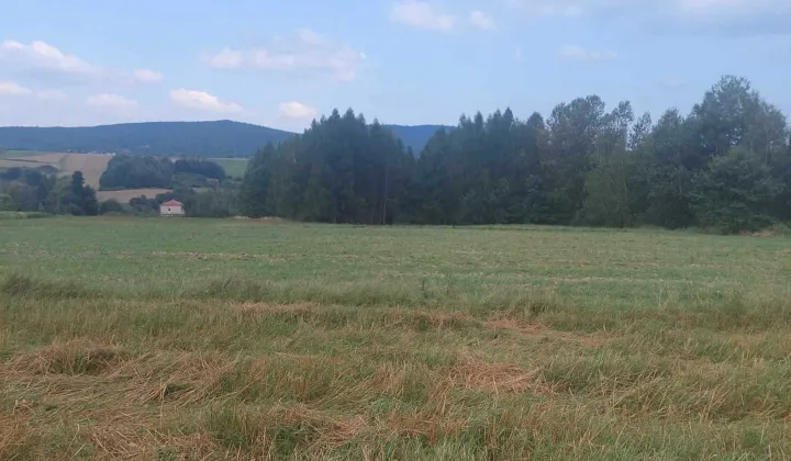 Działka rolno-budowlana Czermna