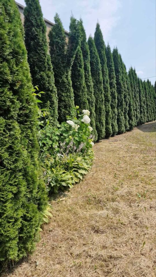 dom wolnostojący Zwoleń. Zdjęcie 3