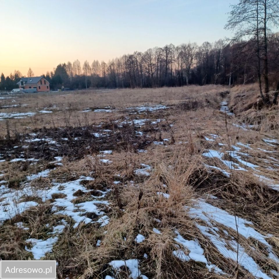 Działka budowlana Dyszów, ul. Bolesława Prusa. Zdjęcie 7