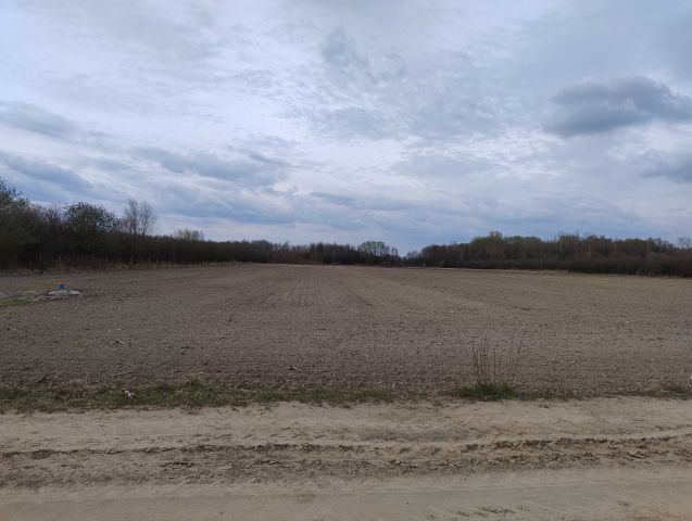 Działka rolna Falęcin. Zdjęcie 1