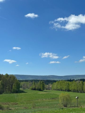 Działka rolno-budowlana Gajówka. Zdjęcie 1