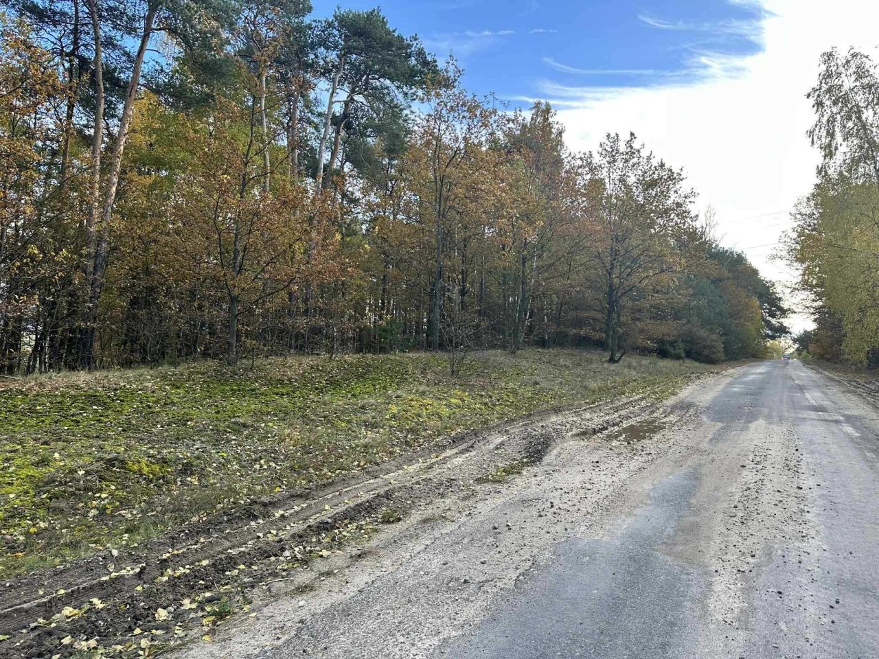 Działka budowlana Pałczew. Zdjęcie 5